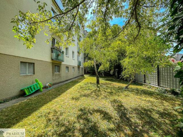 Wohnung mieten in Baden, Niederösterreich