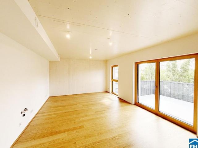 Wohnung mieten in Schöffelstadt, Mödling