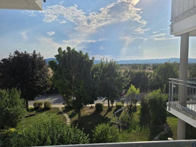 Wohnung mieten in Vösendorf, Niederösterreich