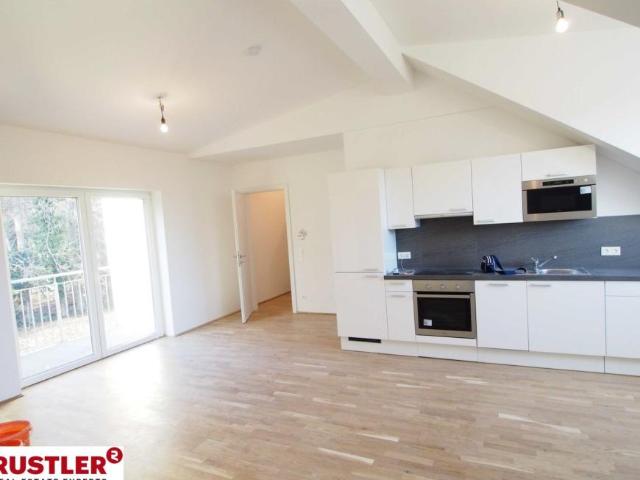 Wohnung mieten in Katastralgemeinde Hinterbrühl, Hinterbrühl