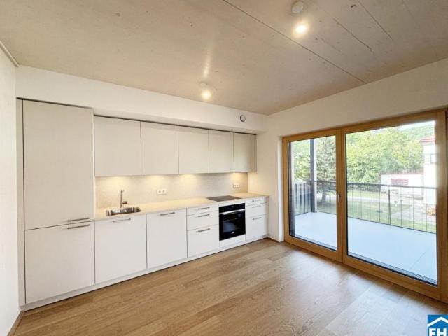 Wohnung mieten in Schöffelstadt, Mödling