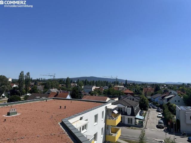 Wohnung mieten in Wiener Neustadt, Niederösterreich