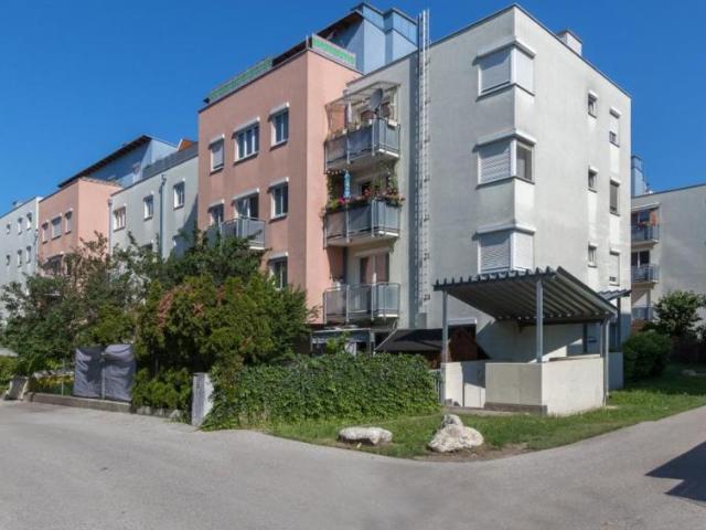 Wohnung mieten in Wiener Neustadt, Niederösterreich