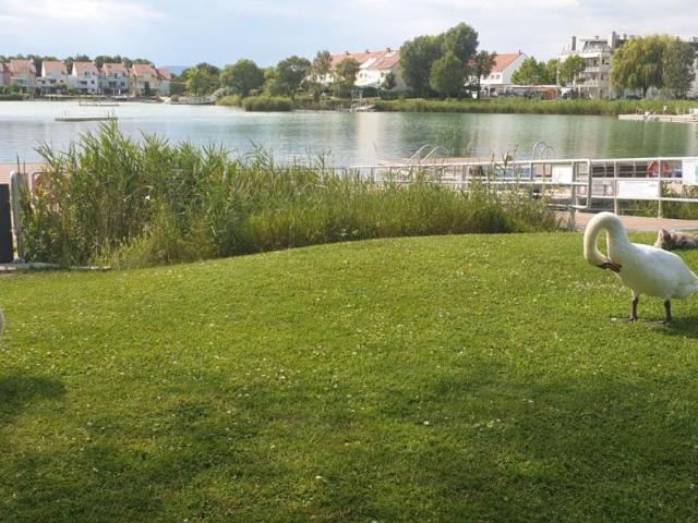 Wohnung kaufen in Vösendorf, Niederösterreich