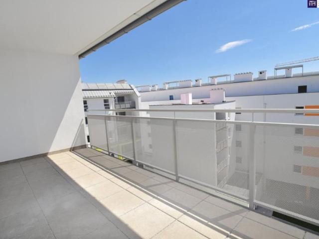 Wohnung mieten in Katastralgemeinde Mannswörth, Schwechat