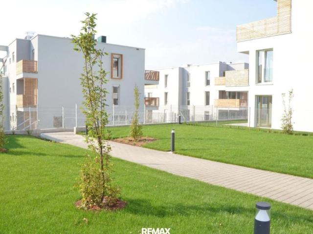 Wohnung mieten in Innenstadt, Krems an der Donau