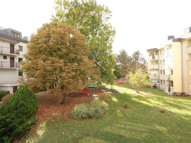 Wohnung mieten in Suttenbrunn, Hollabrunn