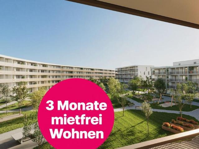 Wohnung mieten in Vösendorf, Bezirk Mödling