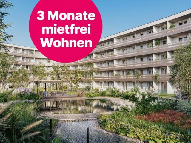 Wohnung mieten in Vösendorf, Bezirk Mödling