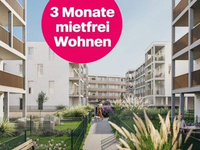 Wohnung mieten in Vösendorf, Bezirk Mödling