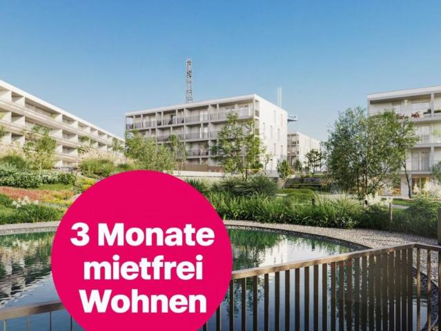 Wohnung mieten in Vösendorf, Bezirk Mödling