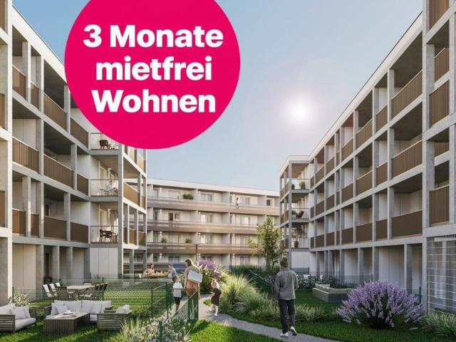 Wohnung mieten in Vösendorf, Bezirk Mödling
