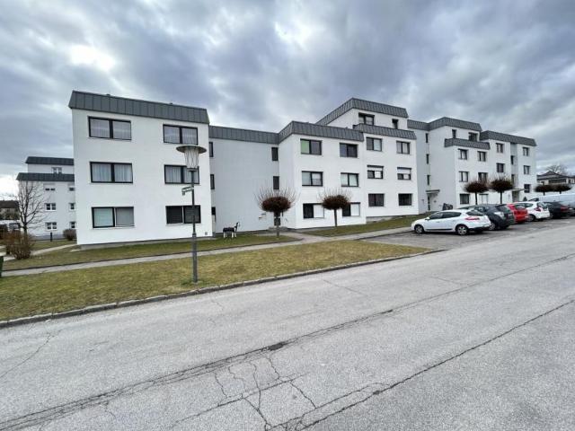 Wohnung mieten in Ried in der Riedmark, Oberösterreich