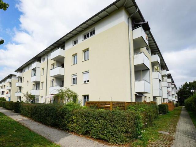 Wohnung mieten in Alm, Regau