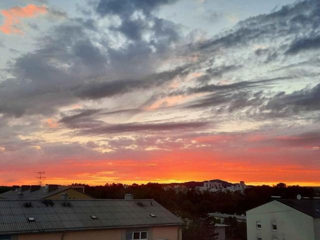 Wohnung kaufen in Linz, Oberösterreich