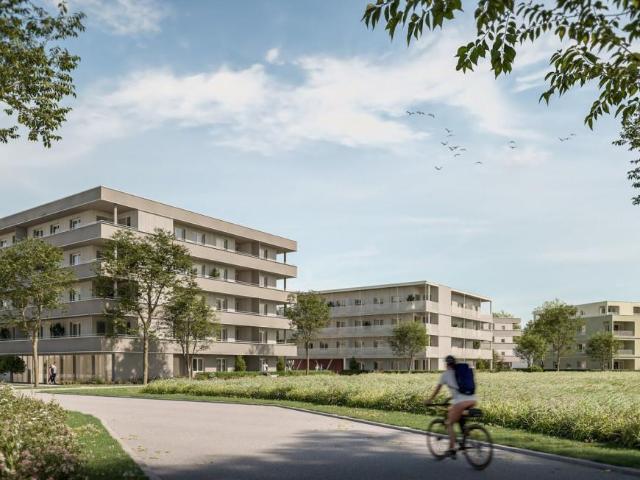 Wohnung kaufen in Ströblberg, Gunskirchen