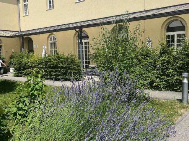 Wohnung mieten in Wels, Oberösterreich