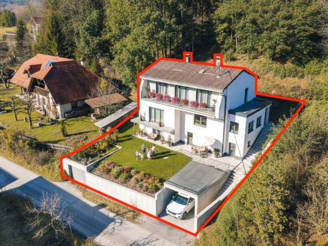 Wohnung mieten in Steinbruch, Ahorn