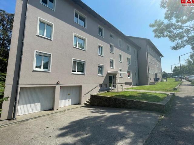 Wohnung mieten in Ried im Innkreis, Oberösterreich