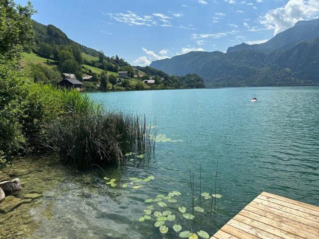 Wohnung kaufen in Alm, Regau