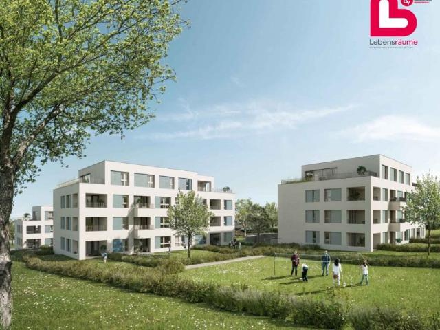 Wohnung mieten in Schlühslmayrsiedlung, Steyr