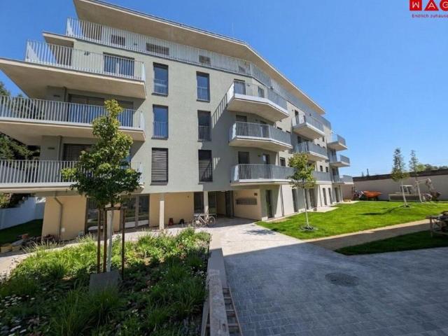 Wohnung mieten in Steiermark