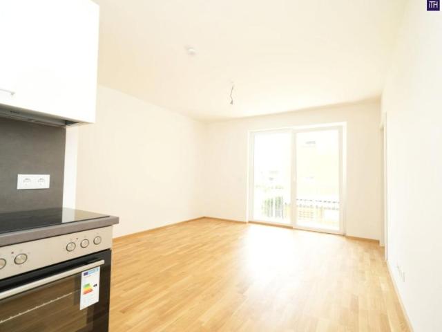 Wohnung kaufen in Kleinsulz, Steiermark