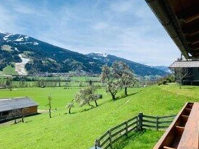 Wohnung mieten in Steiermark