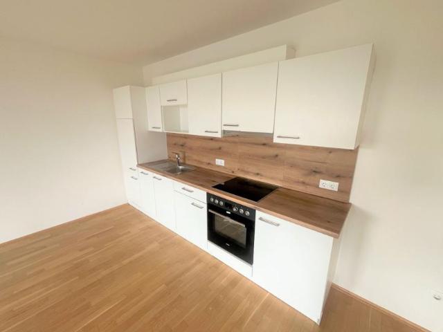 Wohnung mieten in Katastralgemeinde Baierdorf, Graz