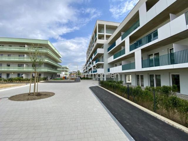 Wohnung mieten in Katastralgemeinde Baierdorf, Graz