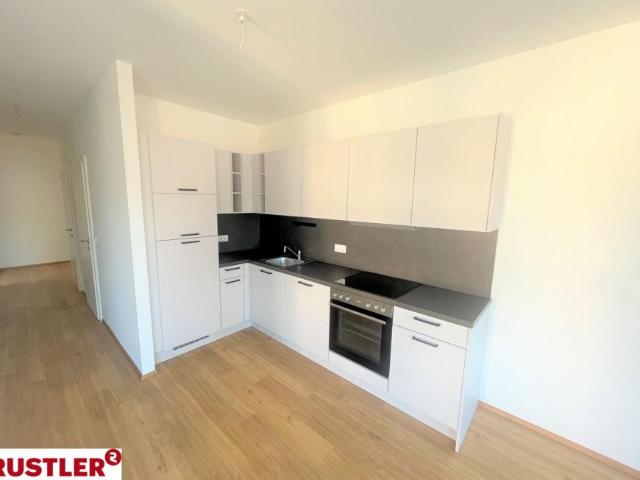 Wohnung mieten in Katastralgemeinde Baierdorf, Graz