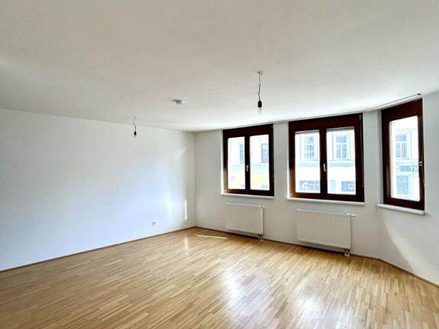 Wohnung mieten in Innere Stadt, Wien