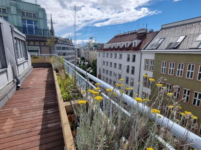 Wohnung mieten in Innere Stadt, Wien