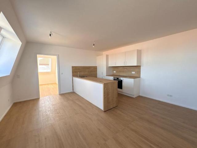 Wohnung mieten in Innere Stadt, Wien