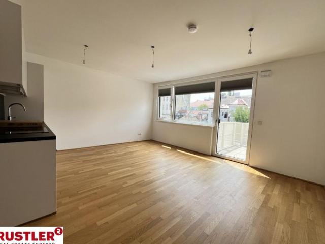 Wohnung mieten in Innere Stadt, Wien