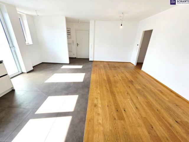 Wohnung mieten in Innere Stadt, Wien
