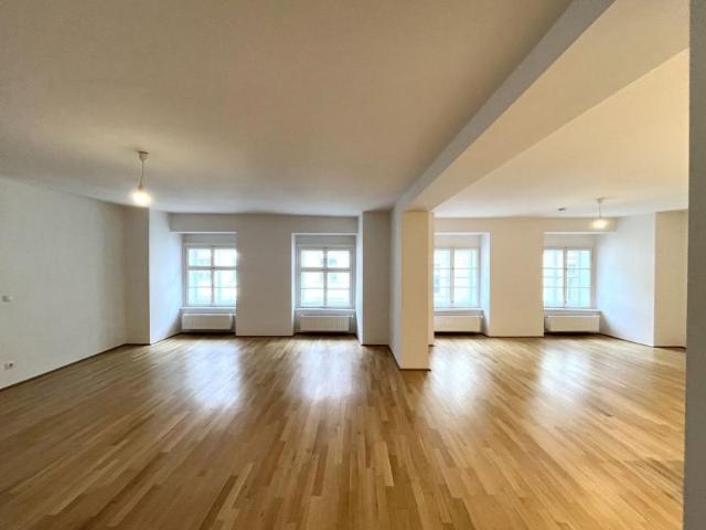 Wohnung mieten in Innere Stadt, Wien