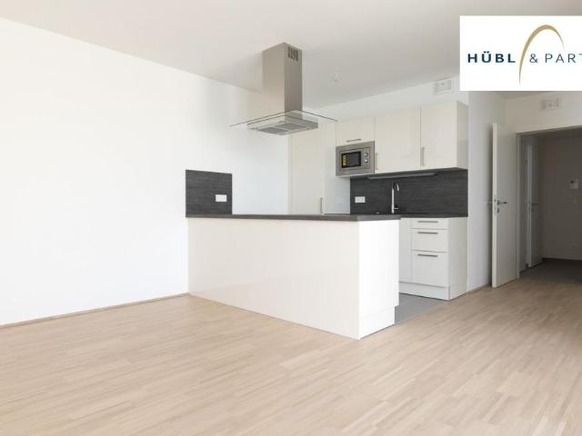 Wohnung mieten in Innere Stadt, Wien