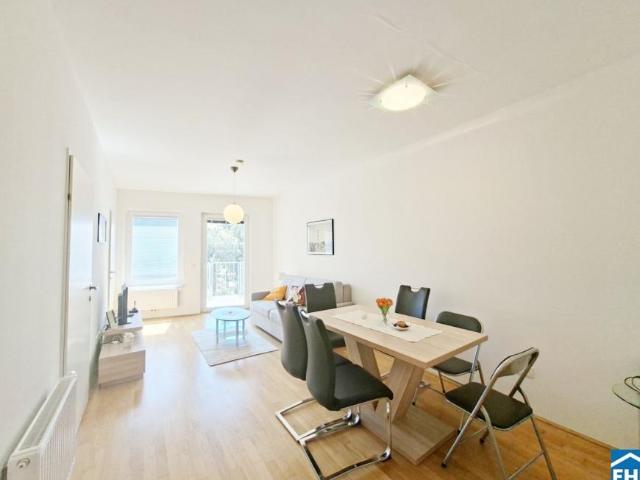 Wohnung mieten in Innere Stadt, Wien