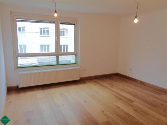 Wohnung mieten in Innere Stadt, Wien