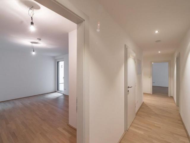 Wohnung mieten in Innere Stadt, Wien