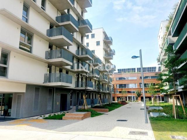 Wohnung mieten in Innere Stadt, Wien