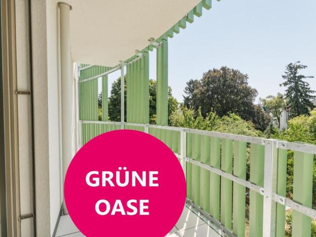 Wohnung mieten in Innere Stadt, Wien