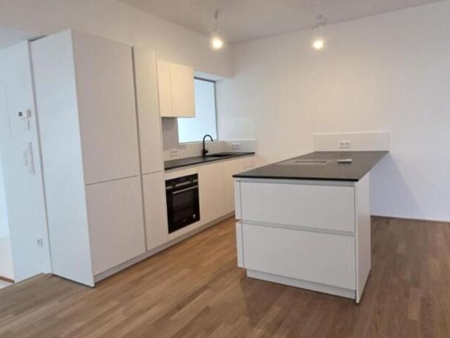 Wohnung mieten in Innere Stadt, Wien