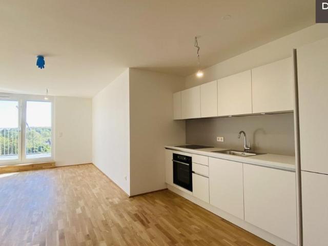 Wohnung mieten in Innere Stadt, Wien