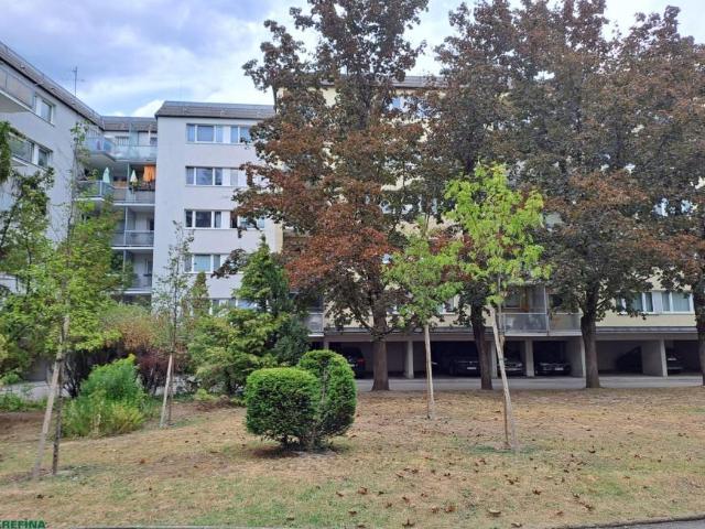 Wohnung mieten in Innere Stadt, Wien