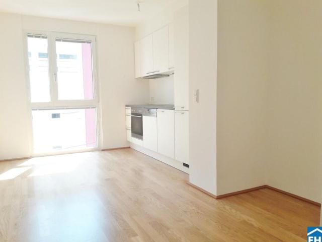 Wohnung mieten in Innere Stadt, Wien