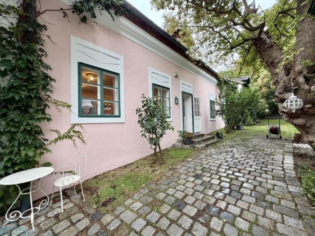 Wohnung mieten in Innere Stadt, Wien