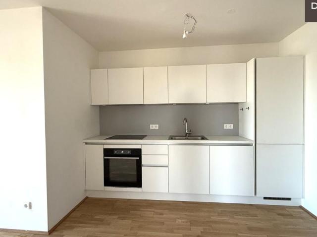 Wohnung mieten in KG Innere Stadt, Wien