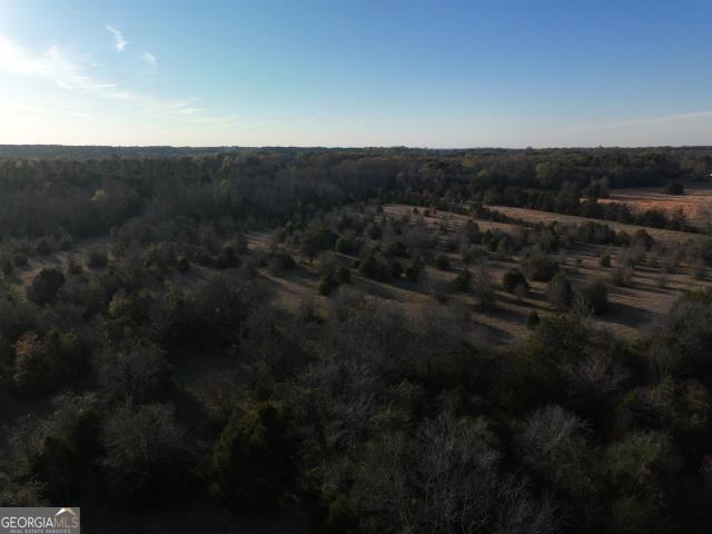 Land for sale in Calhoun Falls, South Carolina